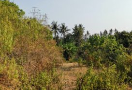 Dijual Tanah 1 Hektar Zona Pariwisata Dkt Bias Tugel Beach Padangbai Karangasem Bali  - Tanah for Sale in Karangasem Regency