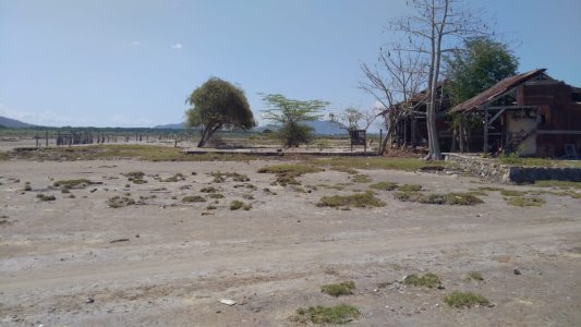 Labuhan kuris 
