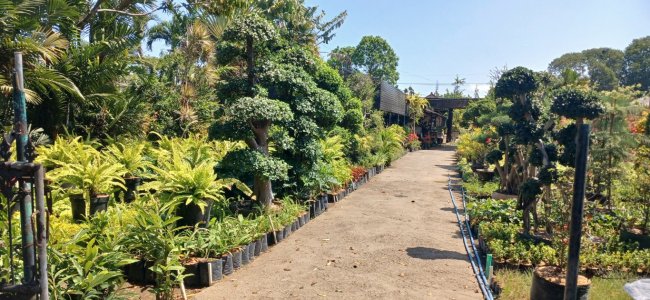 Dijual Tanah 2320 M2 Bypass Ngurah Rai, Gatsu Timur Kesiman Kertalangu 